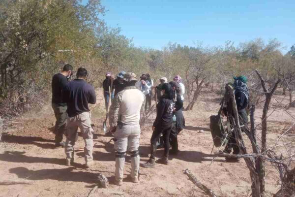 Sonora: 60 cuerpos hallados en Hermosillo son víctimas del mismo grupo delictivo, señala fiscalía