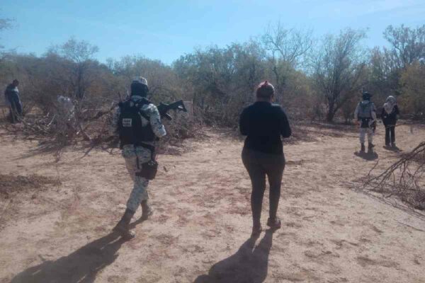 Sonora: 60 cuerpos hallados en Hermosillo son víctimas del mismo grupo delictivo, señala fiscalía