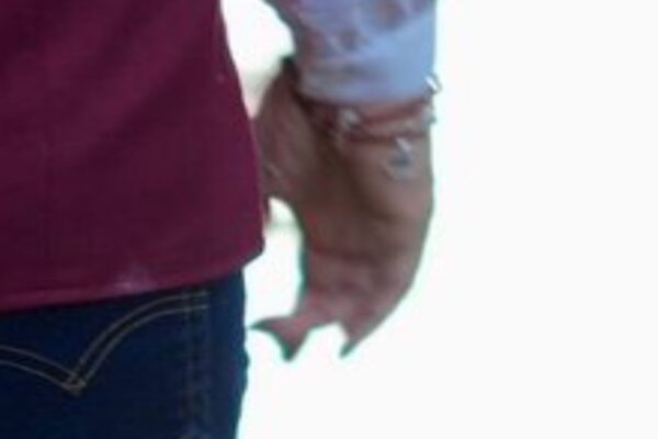 Fuente: Acercamiento de la fotografía que compartió el Gobierno de México.