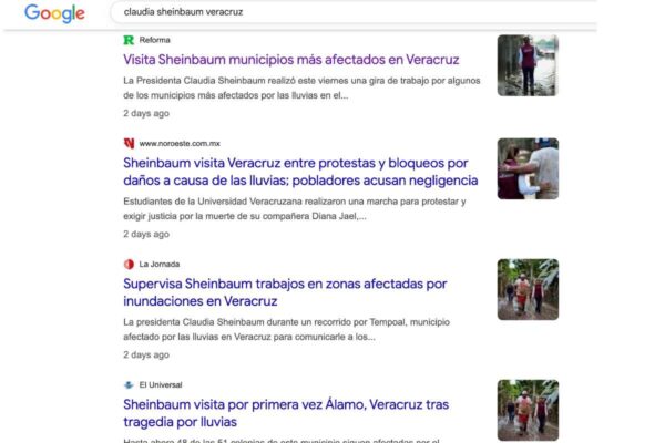 Fuente: Captura de pantalla de búsqueda en Google.