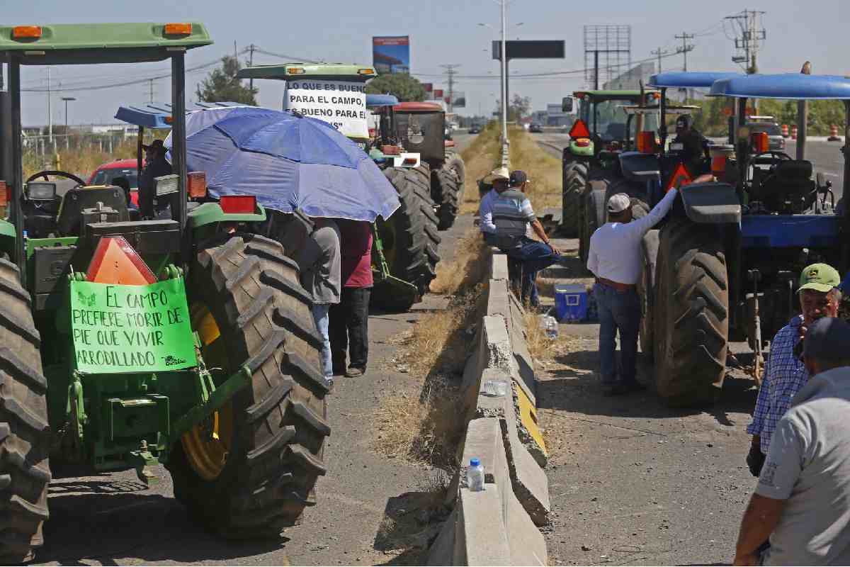 Sheinbaum acusa intereses políticos en bloqueos de agricultores; anuncia plan especial para productores de maíz