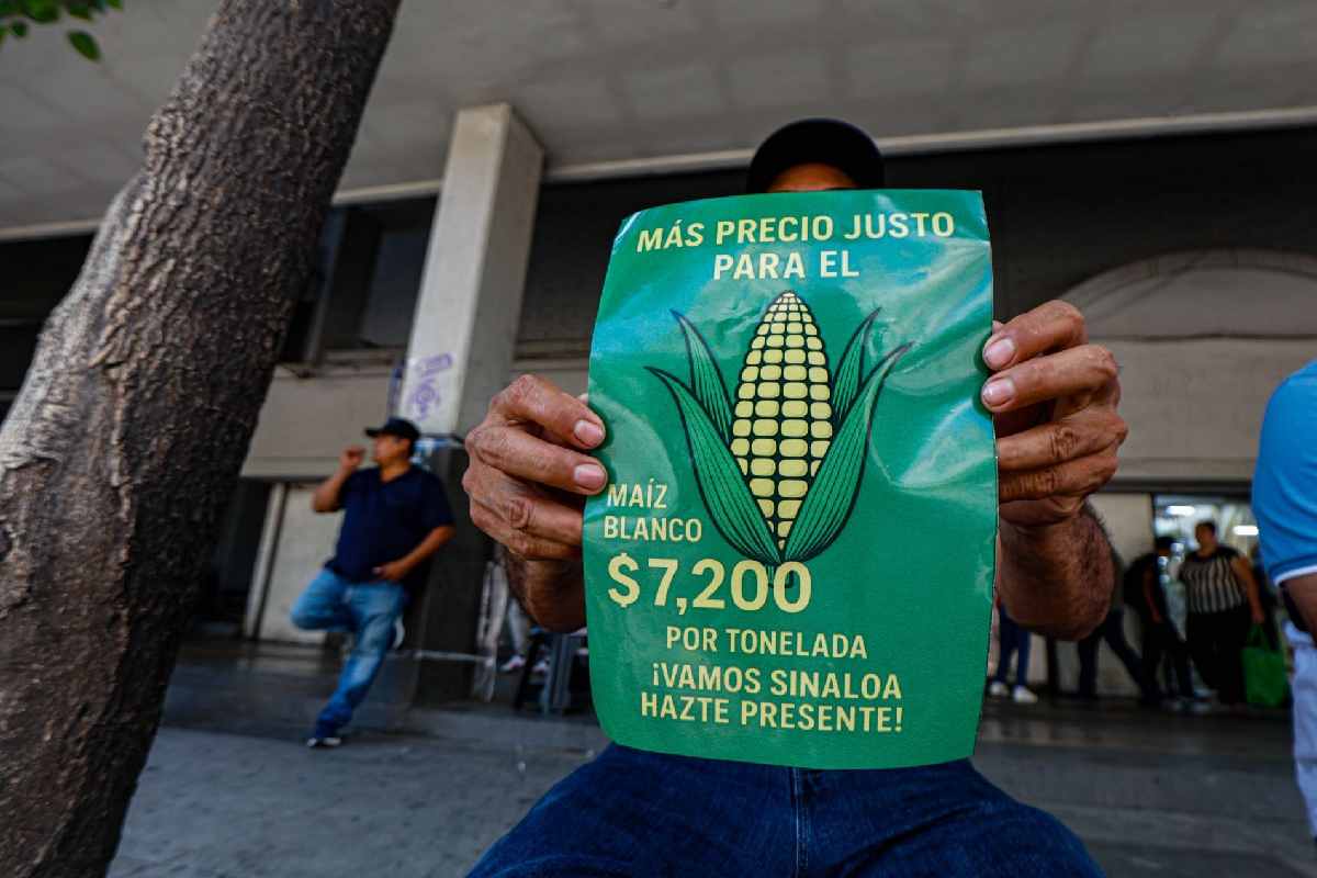 Agricultores, sin acuerdo con el gobierno por precio de granos; hay bloqueos en al menos 4 estados