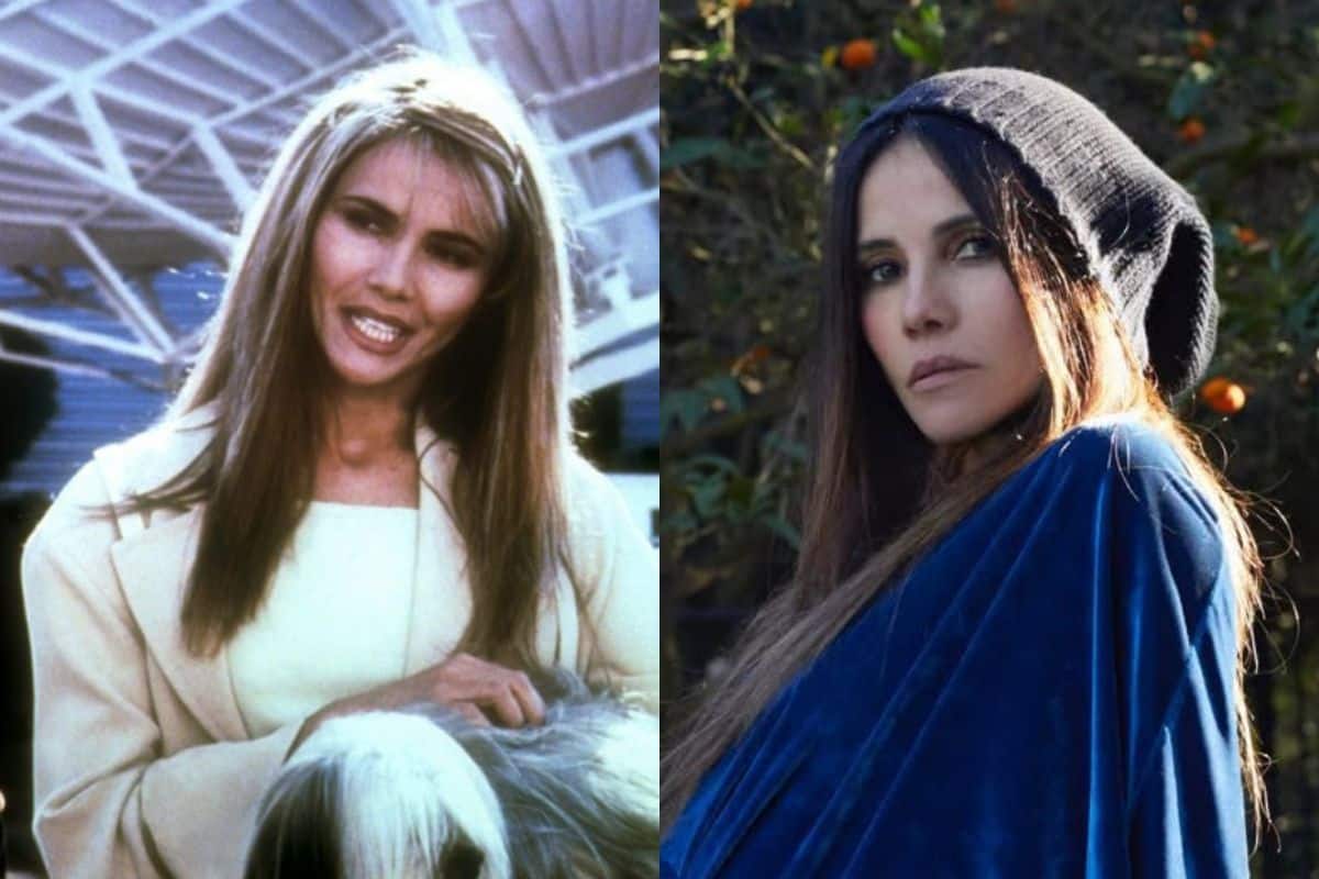 amores perros goya toledo antes despues