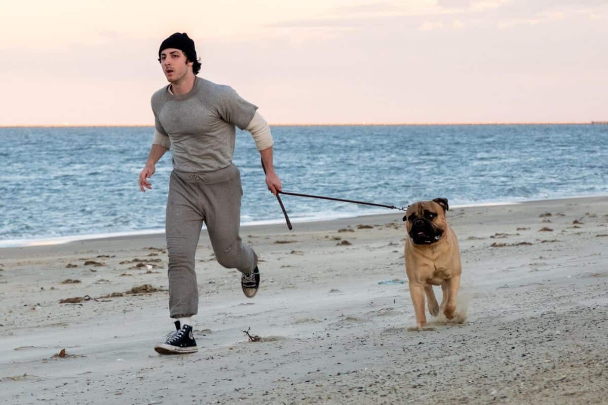 anthony ippolito sylvester stallone