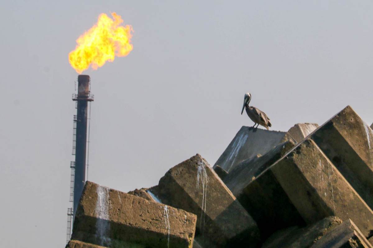 barriles petroleo ingresos presupuesto