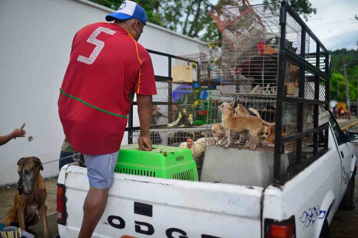 daños lluvias muertos