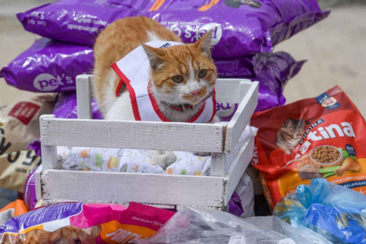 gastos veterinarios deducibles de impuestos