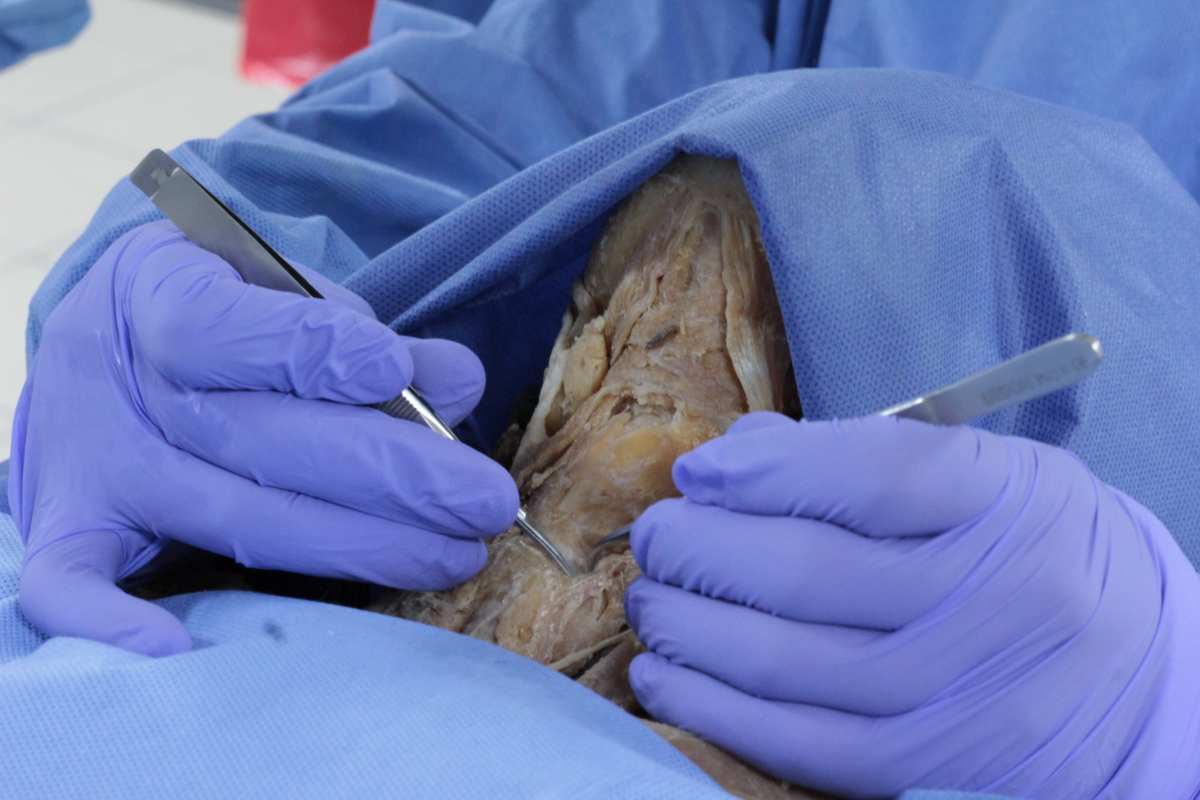 investigación UNAM cuerpos donados