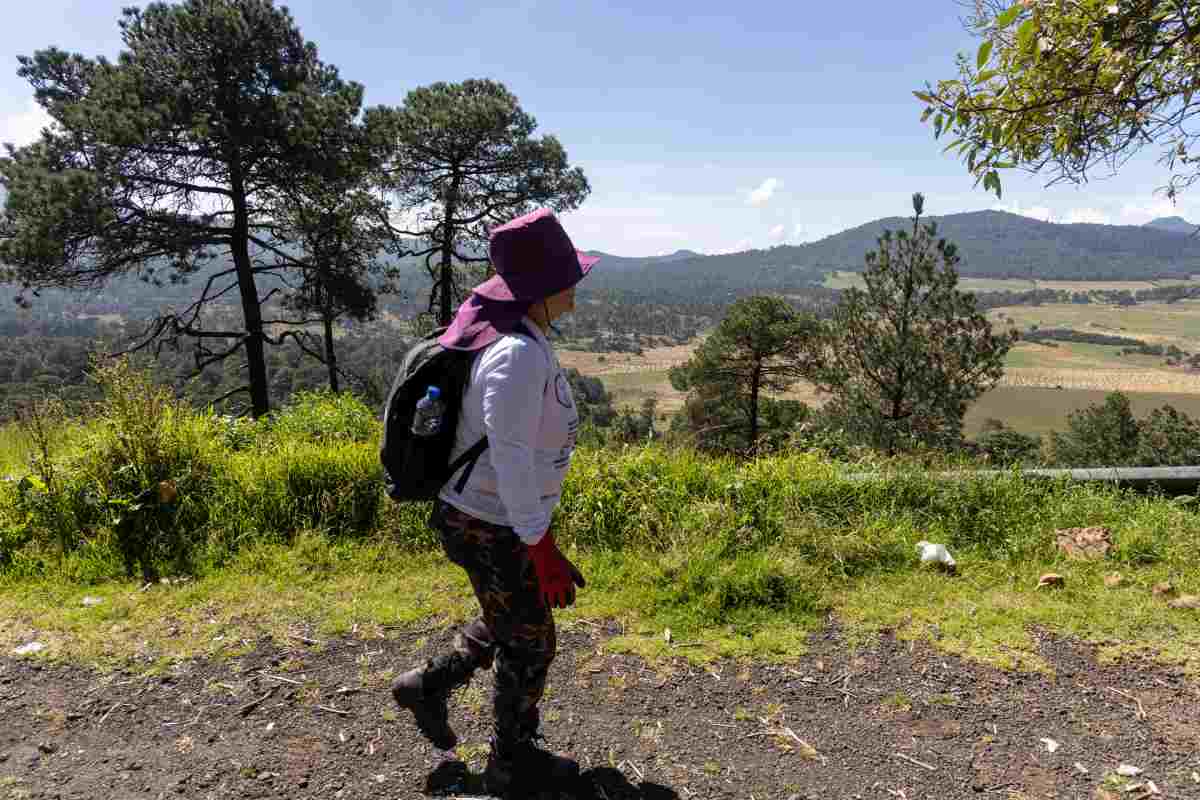 Autoridades y activistas buscan restos en el Ajusco; estiman que hay más de 100 cuerpos