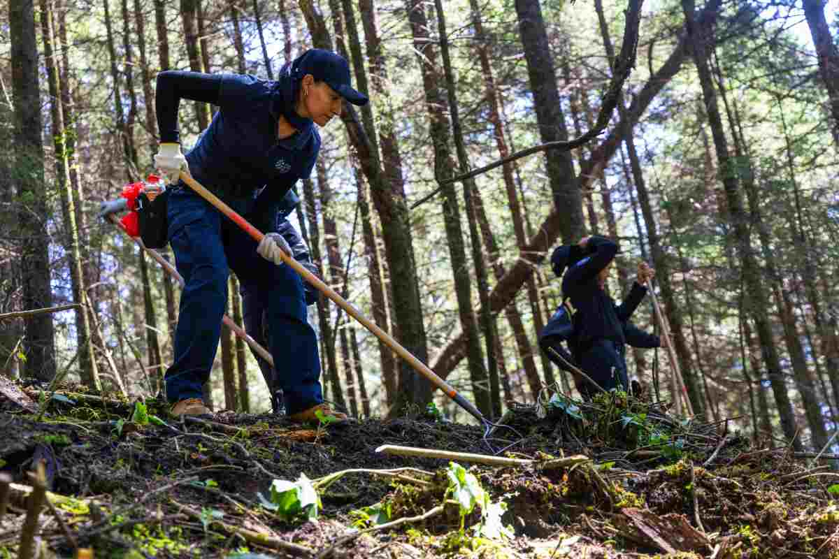 Autoridades y activistas buscan restos en el Ajusco; estiman que hay más de 100 cuerpos