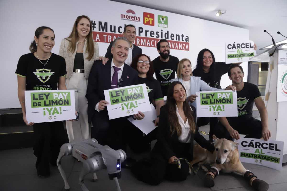 ley pay de limón violencia contra animales
