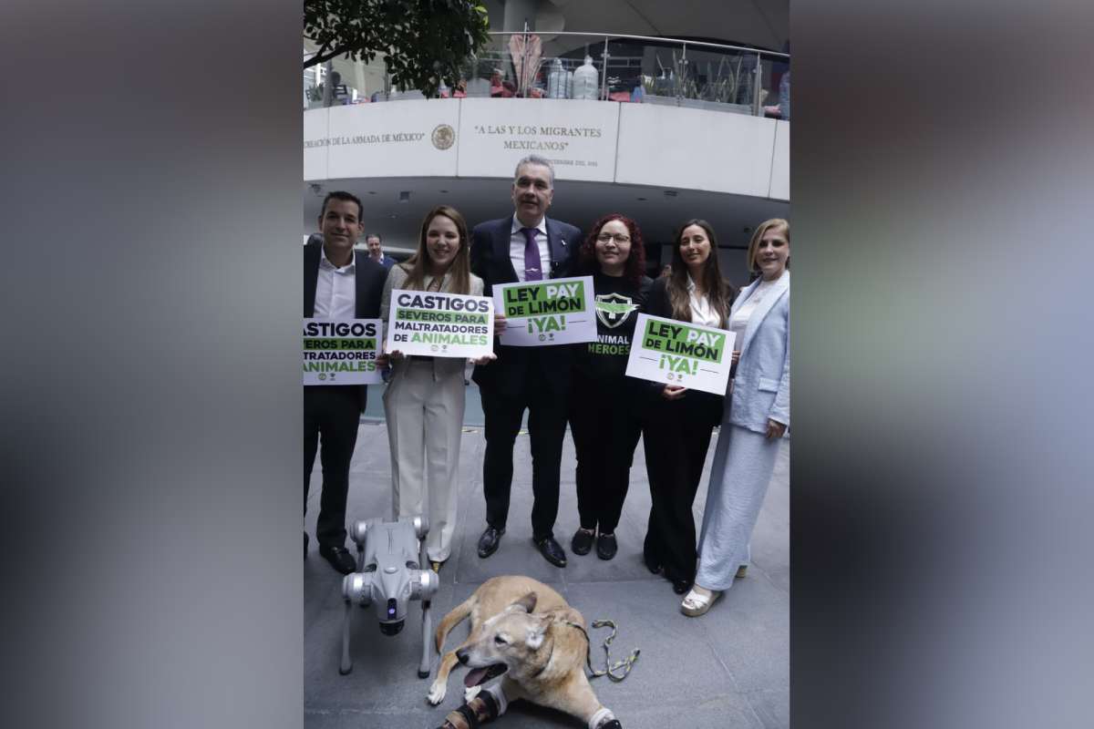 ley pay de limón violencia contra animales