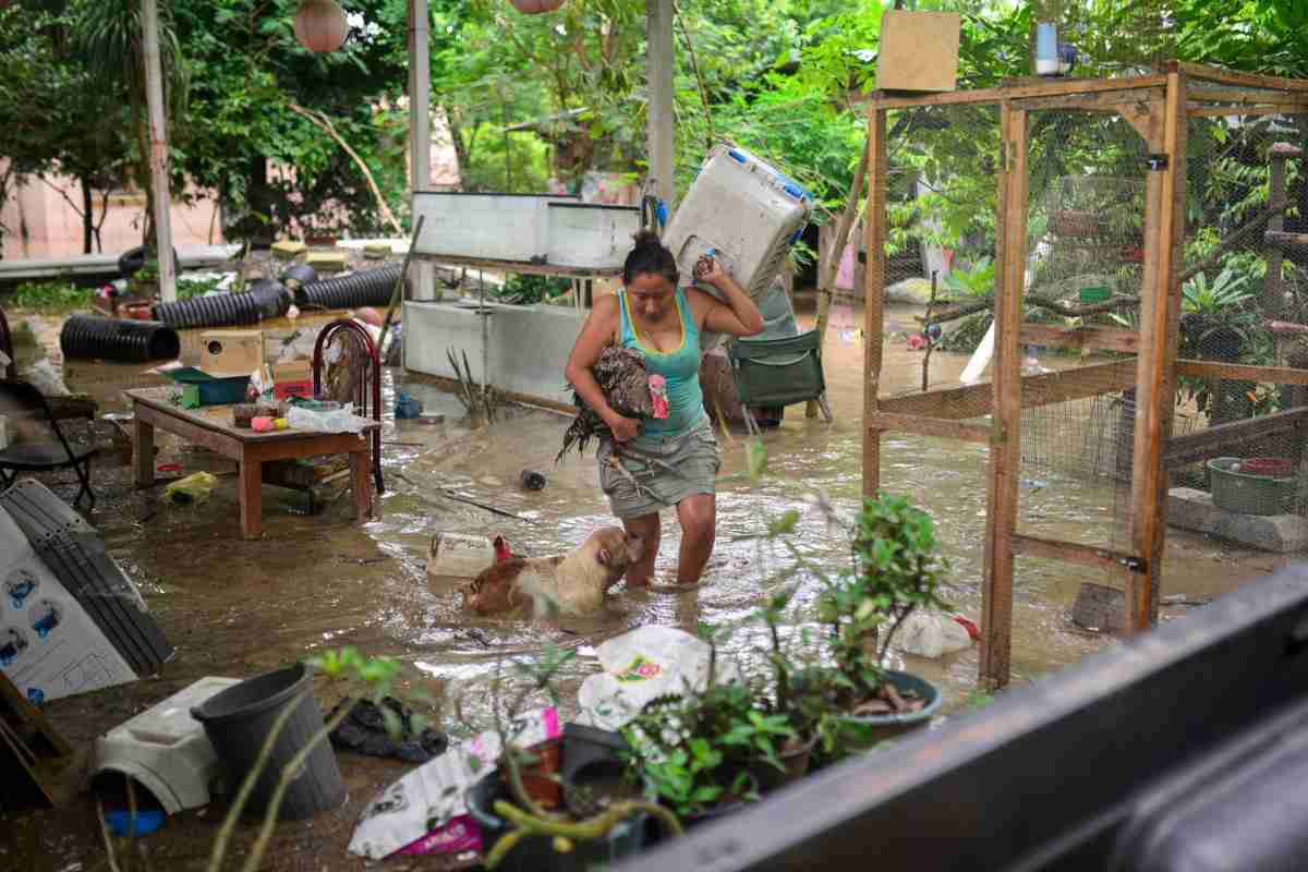 Lluvias en Veracruz dejan un muerto y 38 municipios con daños; Álamo y Poza Rica, con las mayores afectaciones