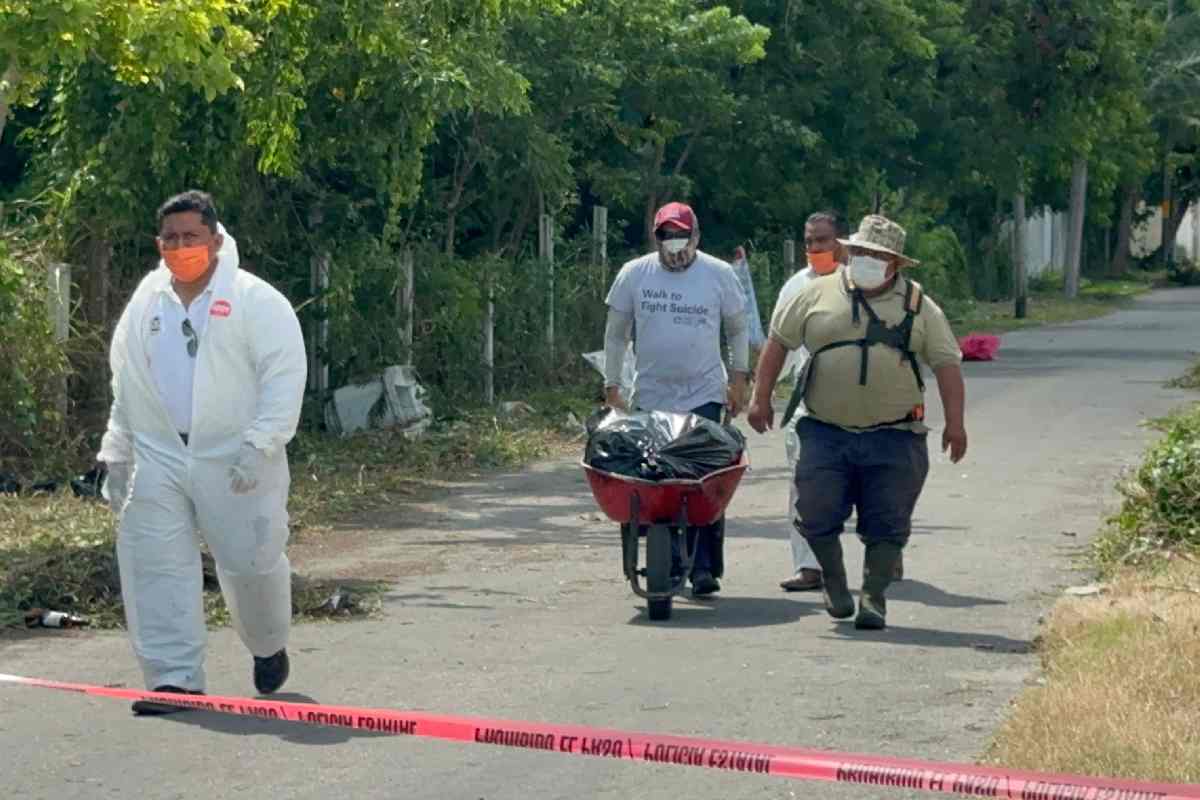 Hallan en predio de Chetumal cuerpos de mascotas que debían haber sido cremados; urnas contenían tierra en lugar de cenizas