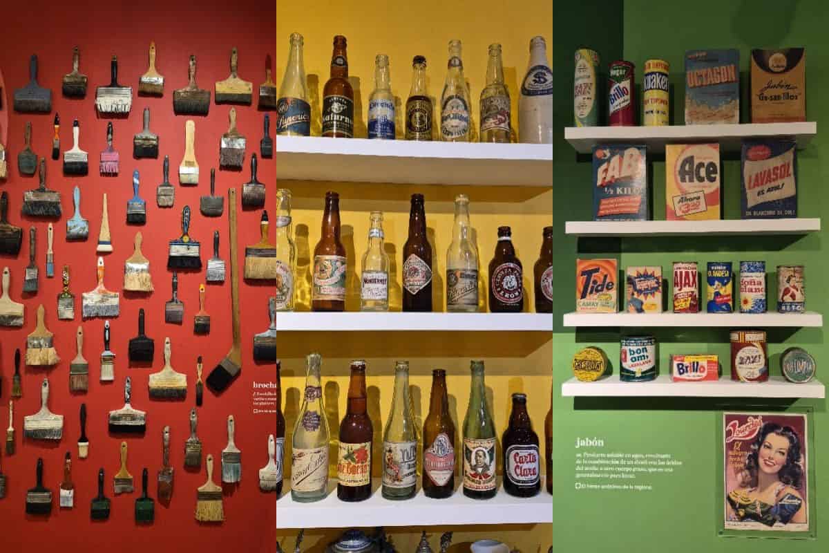 modo museo expo a la z