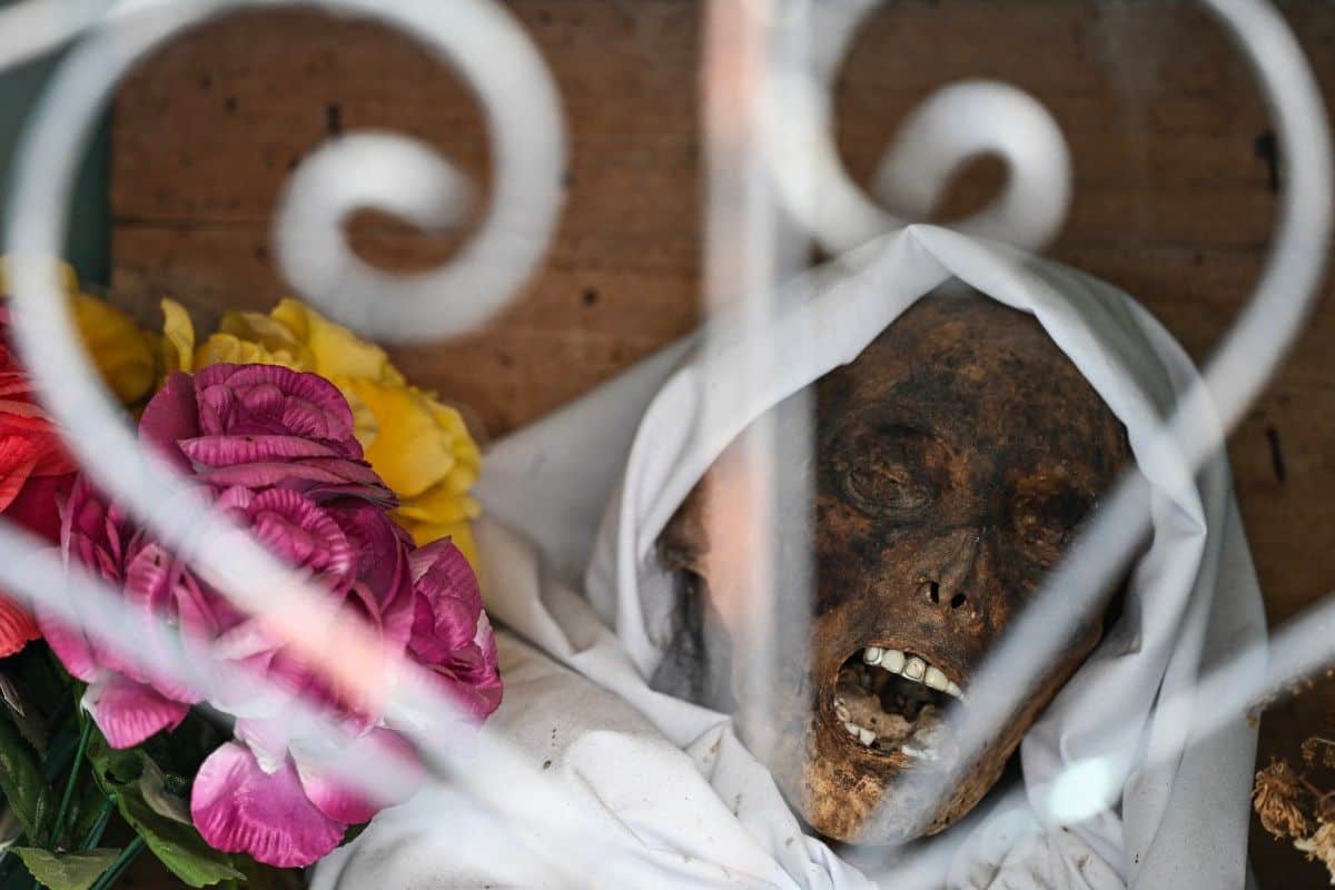 pomuch limpieza huesos dia de muertos tradicion