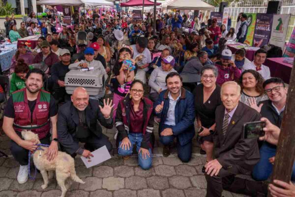 tlalpan-clinica-veterinaria-coapa-albergue-publico-animales-1