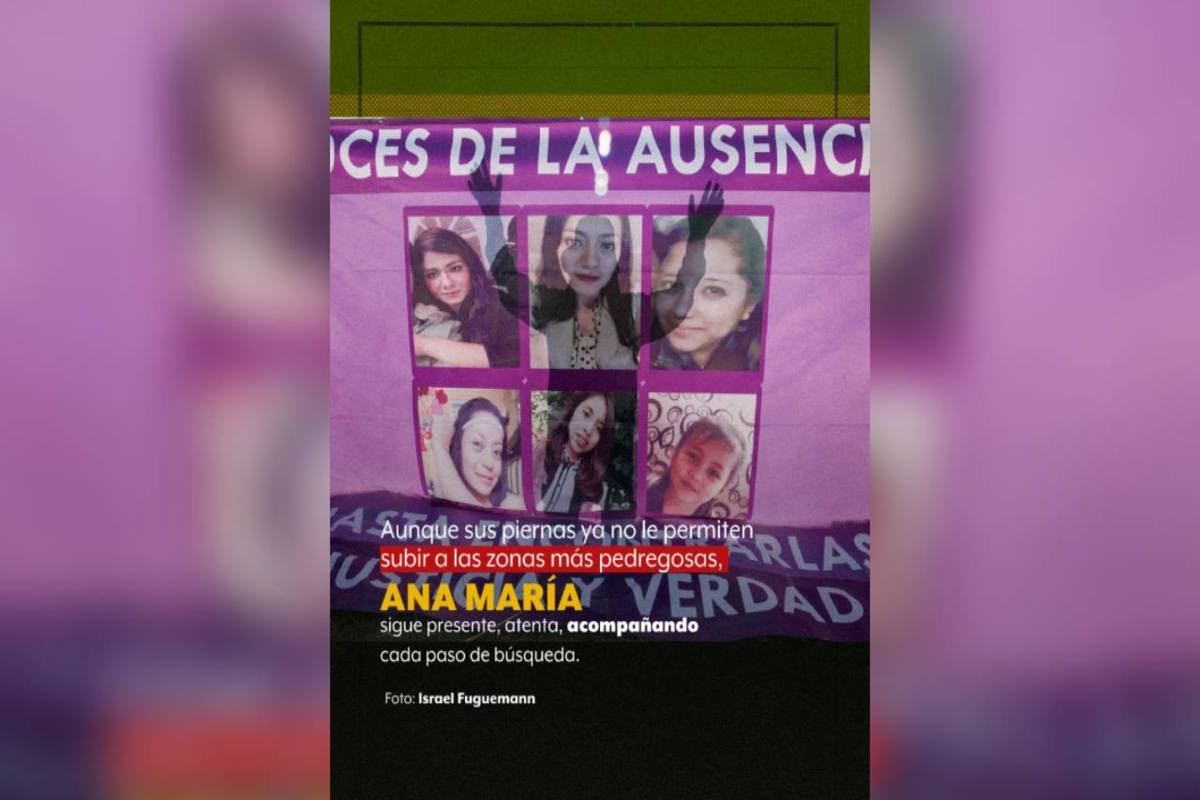 Ana busca a su hijo; Mary, a su mamá; José, a su hija: en el Ajusco, 45 mil metros sin hallazgos