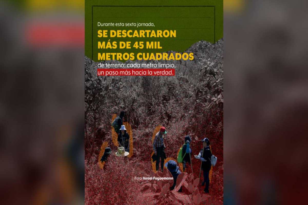 Ana busca a su hijo; Mary, a su mamá; José, a su hija: en el Ajusco, 45 mil metros sin hallazgos