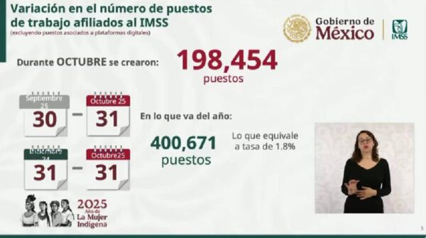 Captura de pantalla informe del IMSS