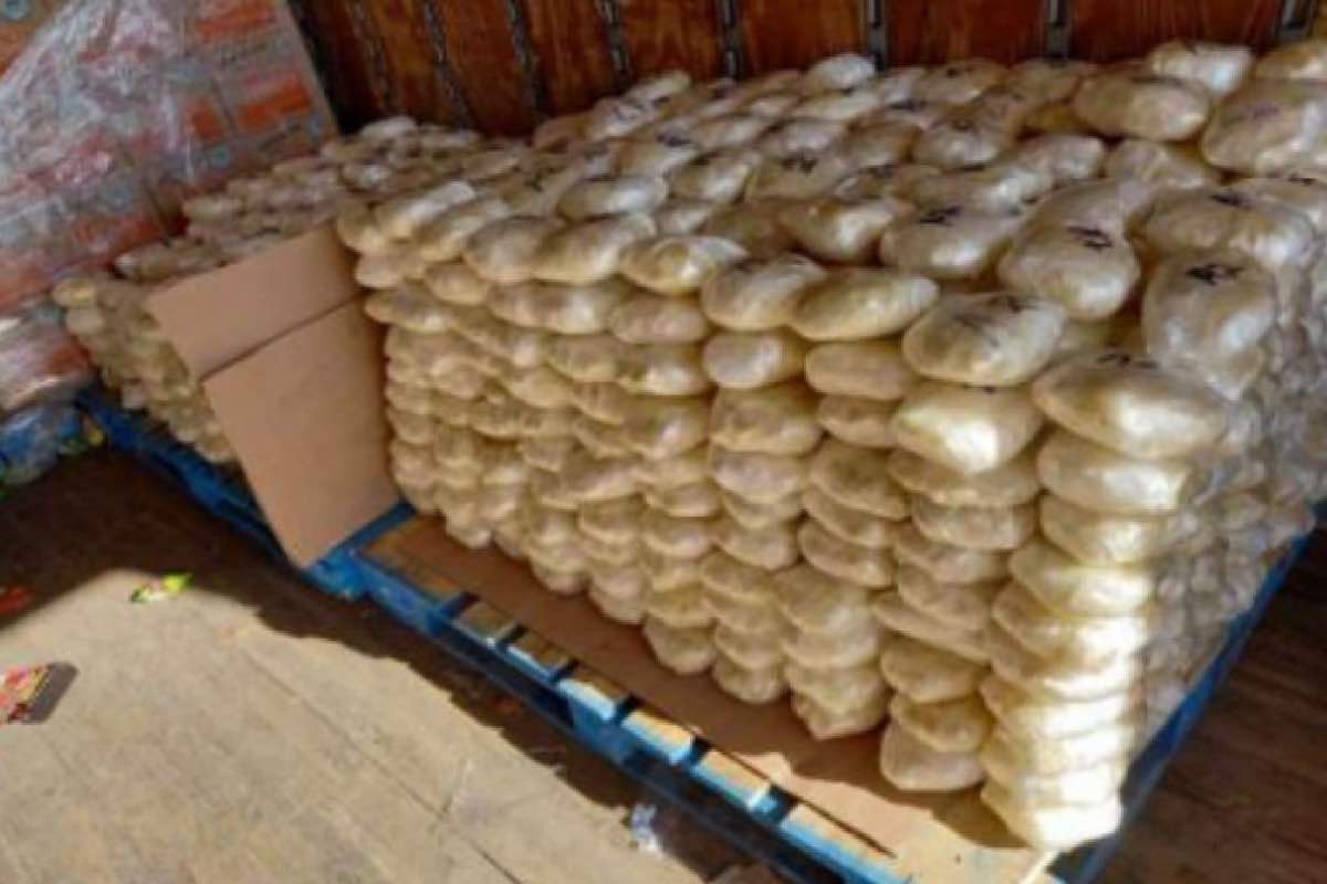 China impone licencias especiales para exportar precursores de fentanilo a EU, Canadá y México_Animal Político_2