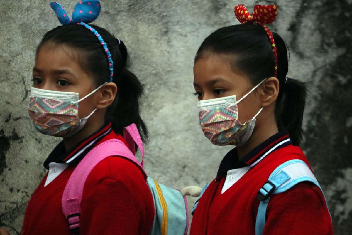 Educación básica, en su peor nivel en una década; matrícula escolar no se ha recuperado tras la pandemia Animal Político_1