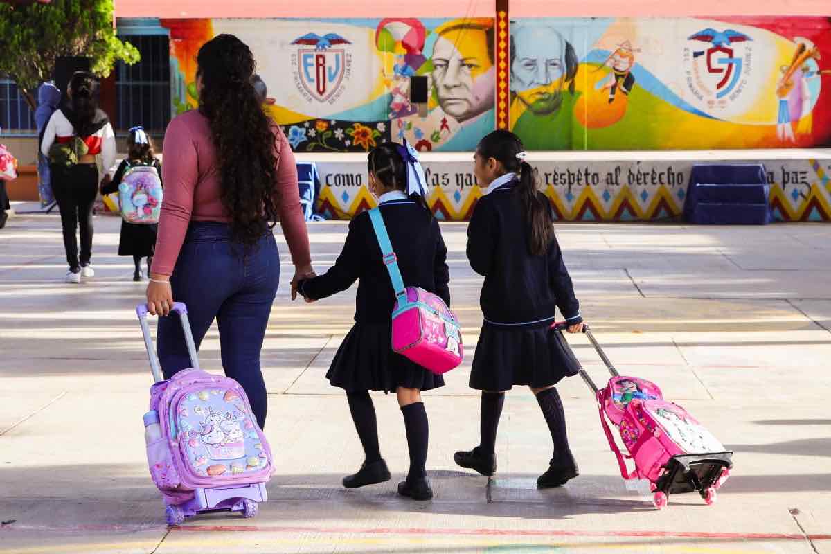 Educación básica, en su peor nivel en una década; matrícula escolar no se ha recuperado tras la pandemia Animal_Político_4