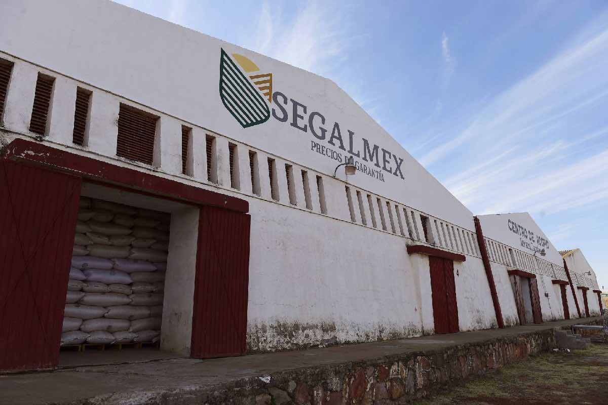 Estafa Maestra, Ayotzinapa, Segalmex y huachicol fiscal- entre los casos que hereda Gertz Manero_3