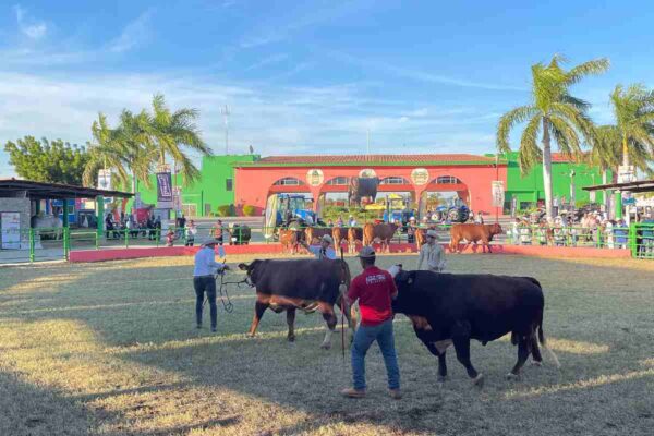 Expo Ganadera vuelve a Culiacán tras más de un año de violencia y el asesinato de dos líderes del sector