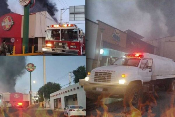 Incendios en Waldos en el país