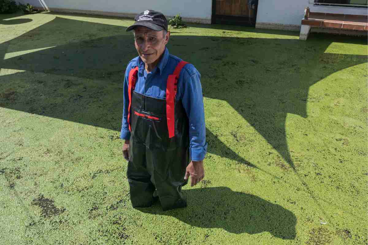  Santa Cruz Chignahuapan: la comunidad olvidada bajo un río de aguas negras en el Estado de México