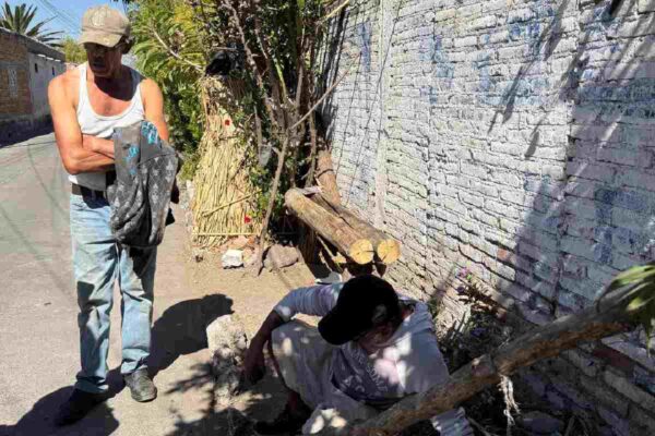 Lirio invade la Laguna de Yuriria en Guanajuato, pese a inversiones millonarias; pescadores se quedan sin ingresos
