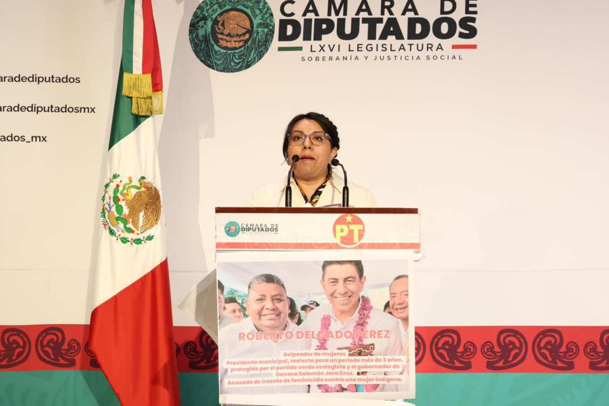 Martha Araceli Cruz diputada PT