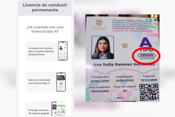 Opción para licencia permanente y ubicación del número de licencia