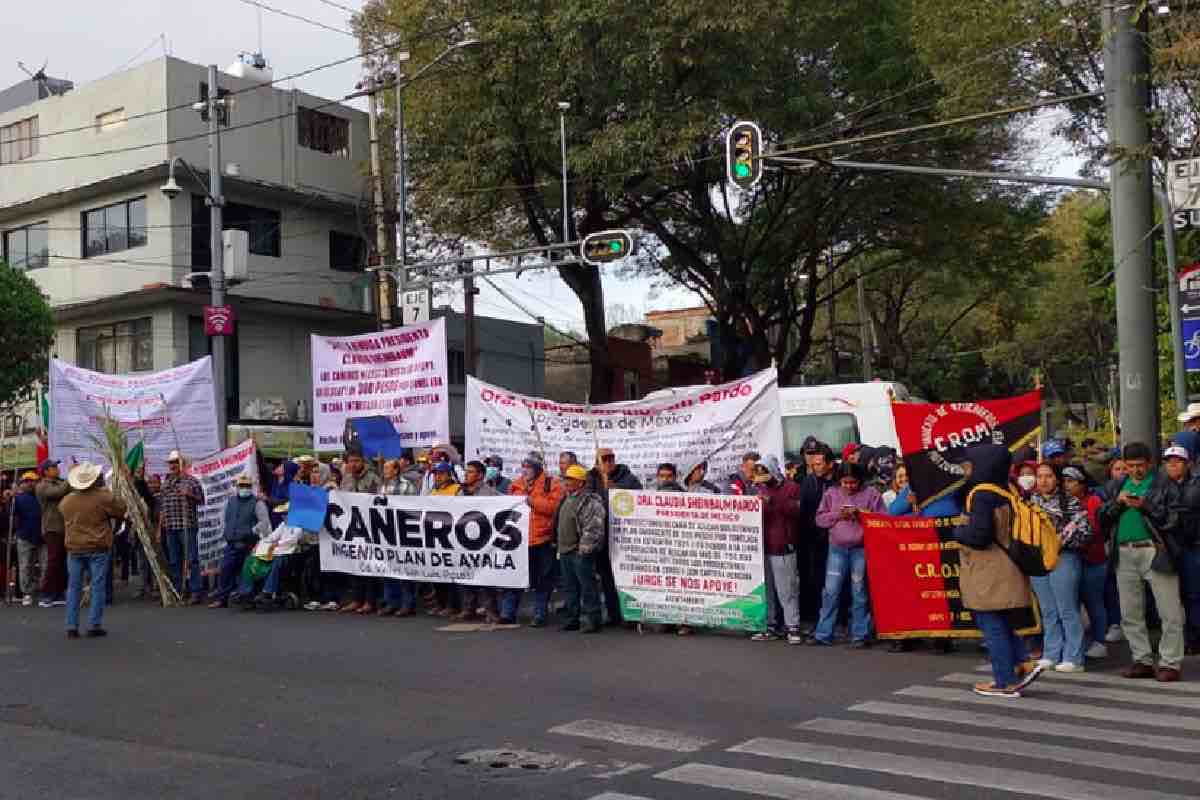 Productores de caña de varios estados protestaron frente a la Secretaría de Agricultura y Desarrollo Rural (Sader)_2