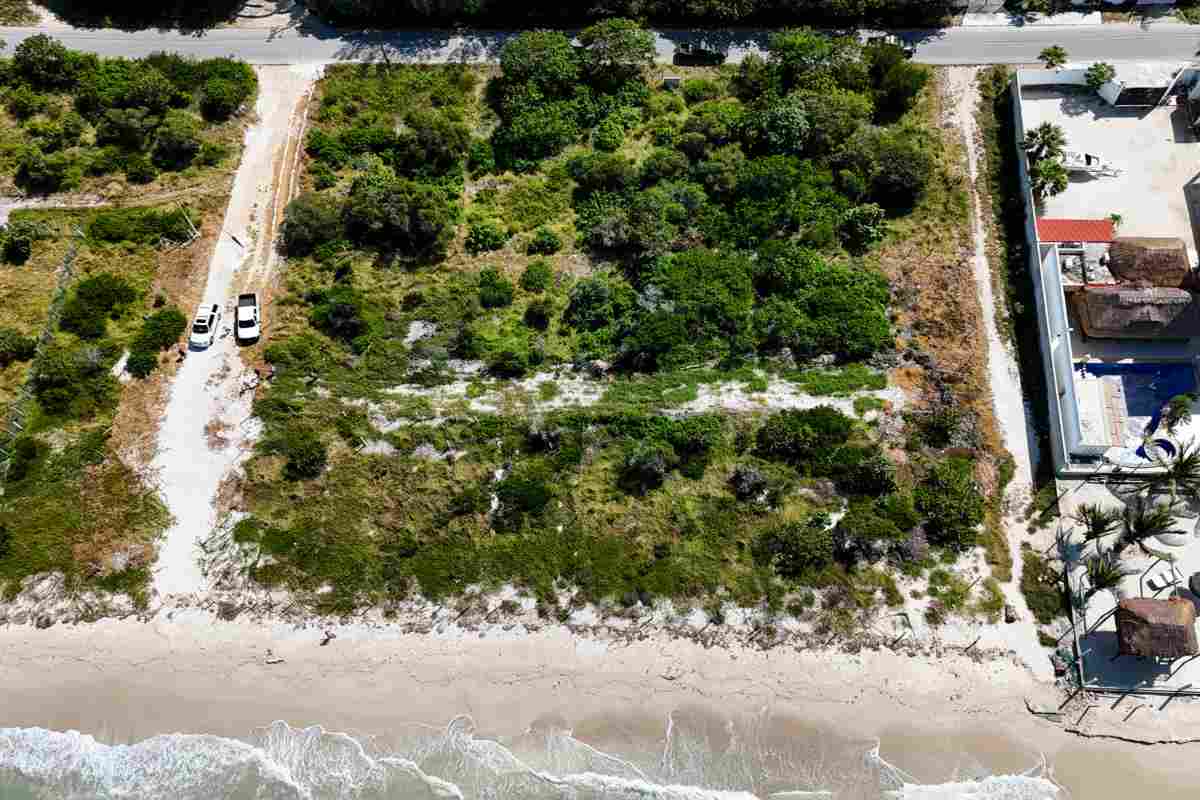 Profepa clausura 31 proyectos turísticos por afectar manglares y humedales en 14 estados