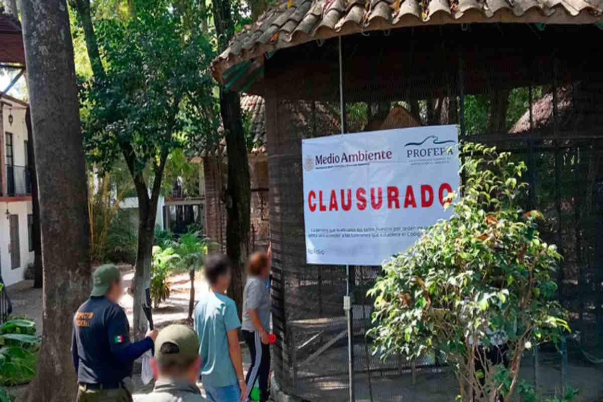 Profepa clausura Parque Temazcal Zovic de Morelos por maltrato y descuido a 41 animales 