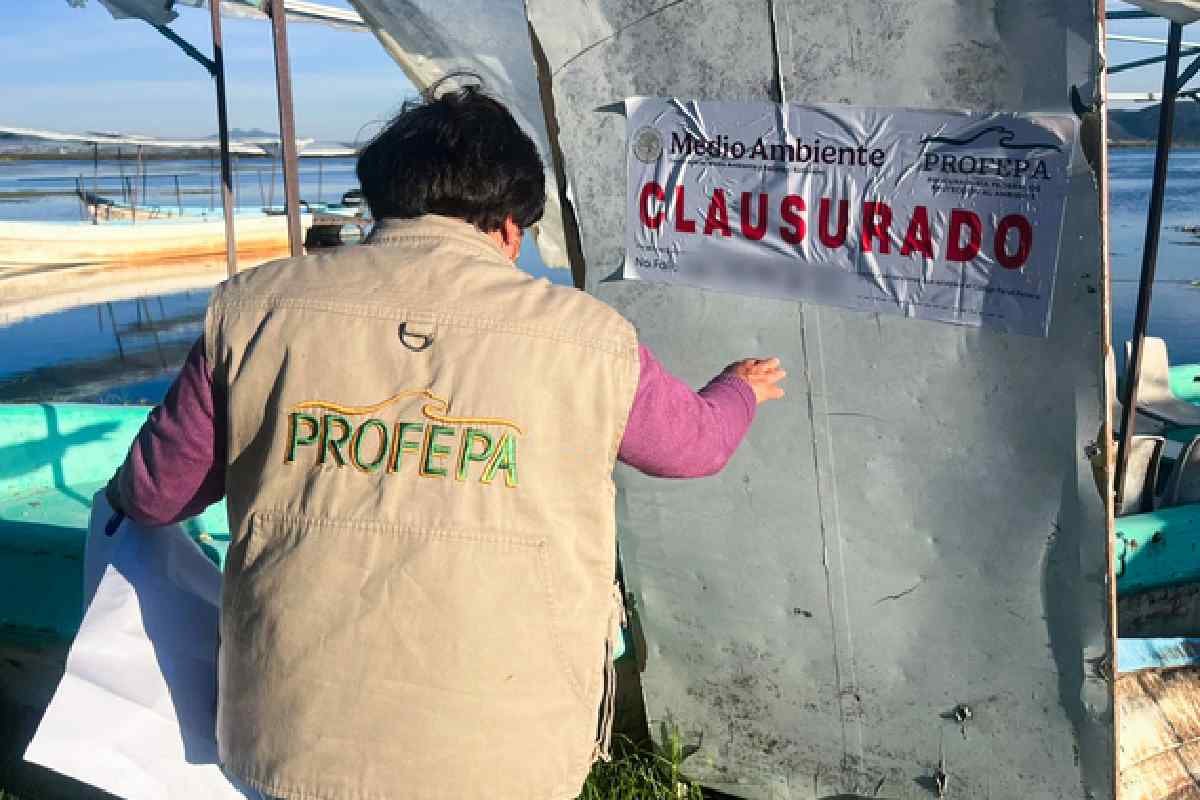 Profepa clausura obras en la ribera de la Laguna de Tecocomulco, Hidalgo; no contaban con permiso