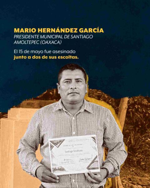 Registran 56 asesinatos de actores políticos en lo que va de 2025; siete son alcaldes, entre ellos Carlos Manzo