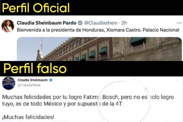 Fuente: Diferencias entre el perfil oficial de X y el que se muestra en la publicación desinformante. 