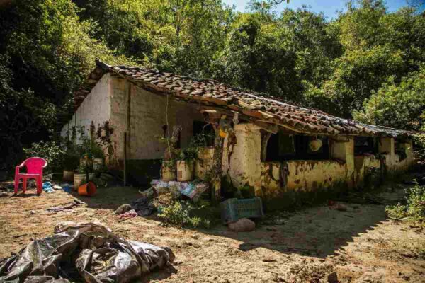 Violencia en el llamado Triángulo Dorado desplaza a 250 familias, confirma alcalde de Badiraguato, Sinaloa