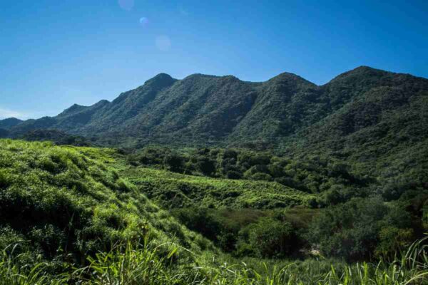 Violencia en el llamado Triángulo Dorado desplaza a 250 familias, confirma alcalde de Badiraguato, Sinaloa