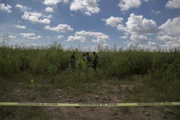 Violencia agricultura sinaloa