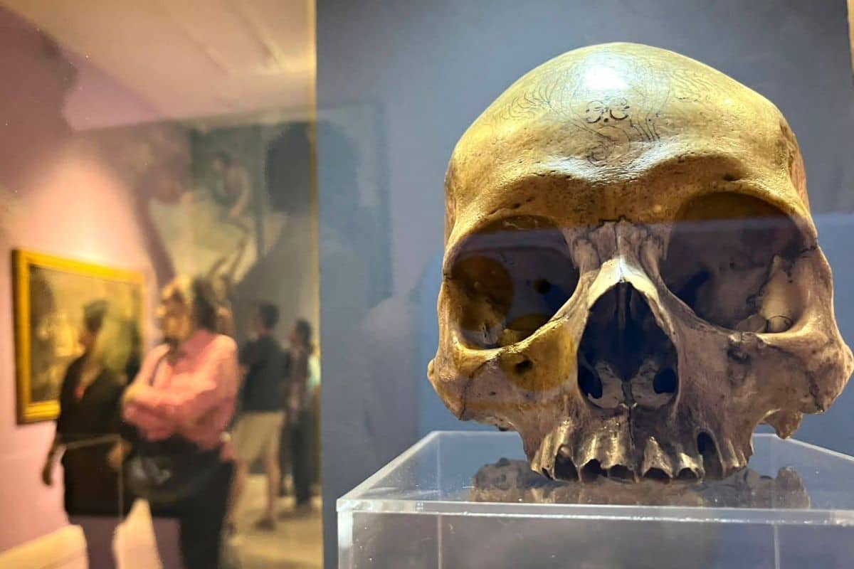 beso de la muerte museo san carlos