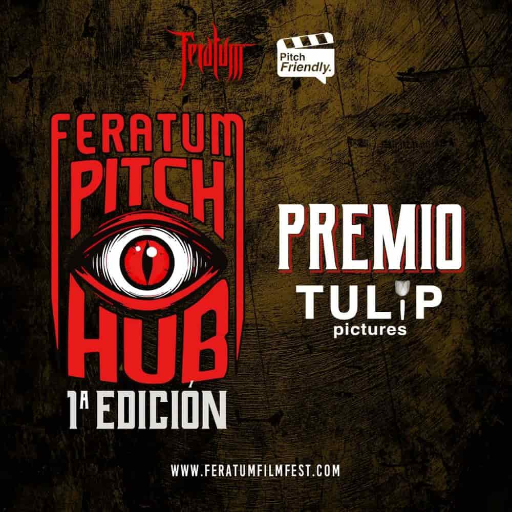 FERATUM FILM FEST pitch hub
