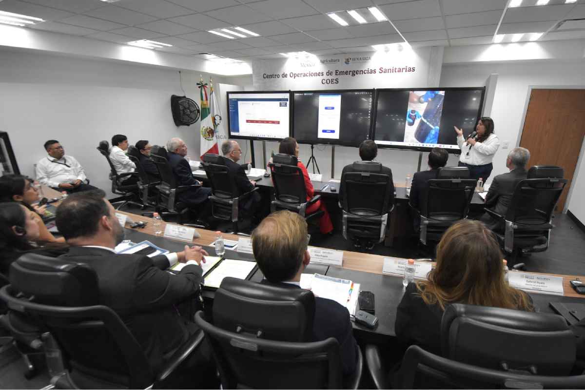 México y EU revisan avances contra gusano barrenador; planean nuevas estrategias para su combate 