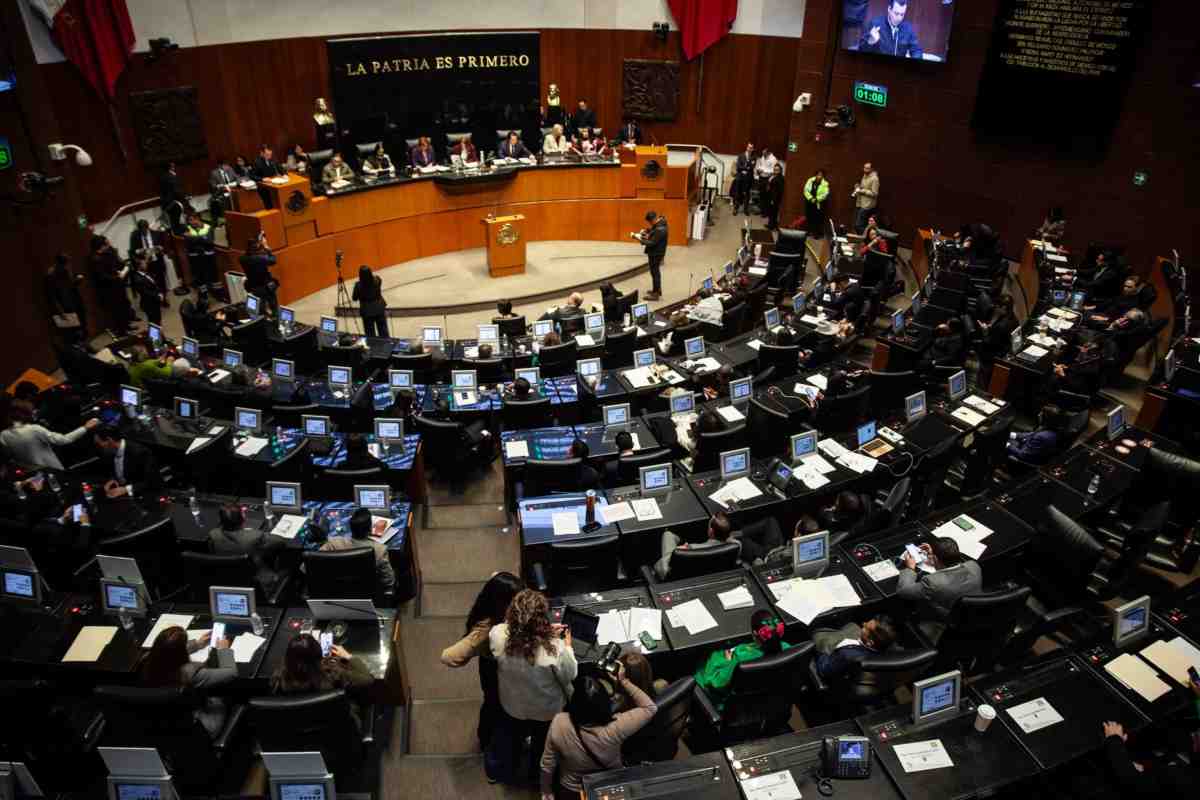 mario delgado sep senado comparecencia