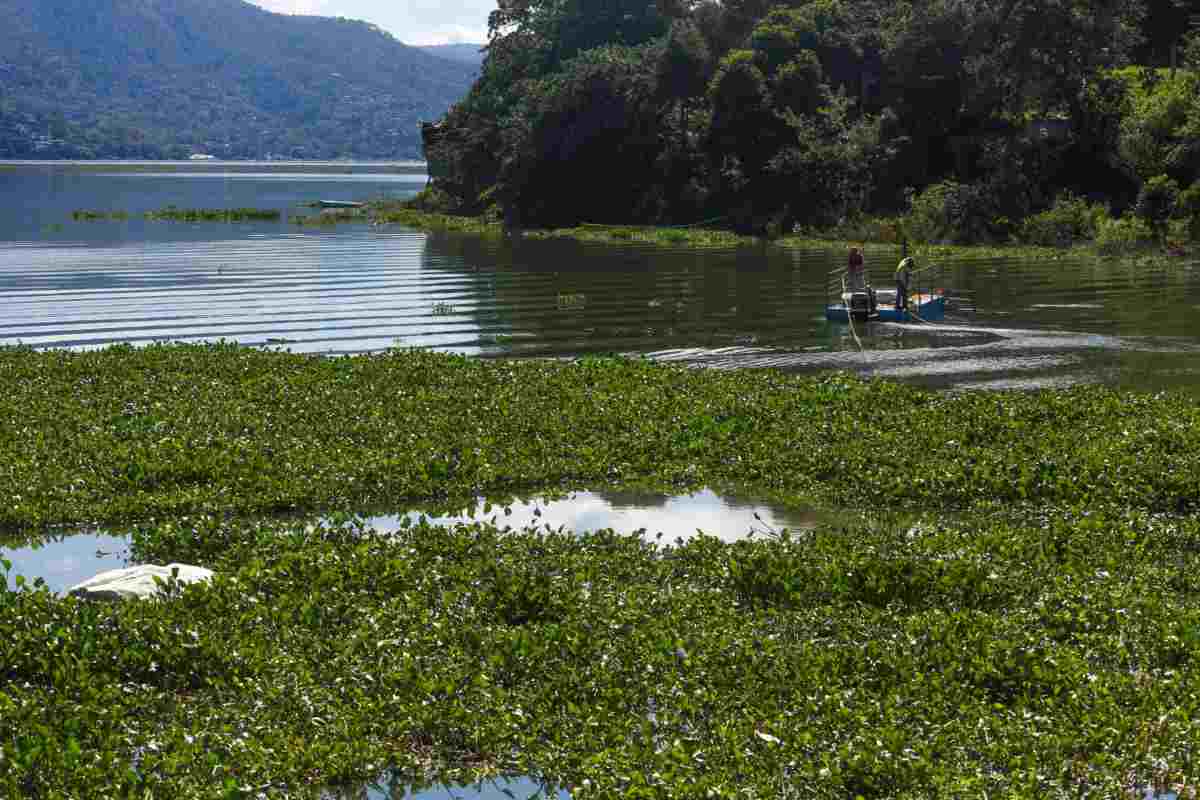 modificaciones ley de aguas