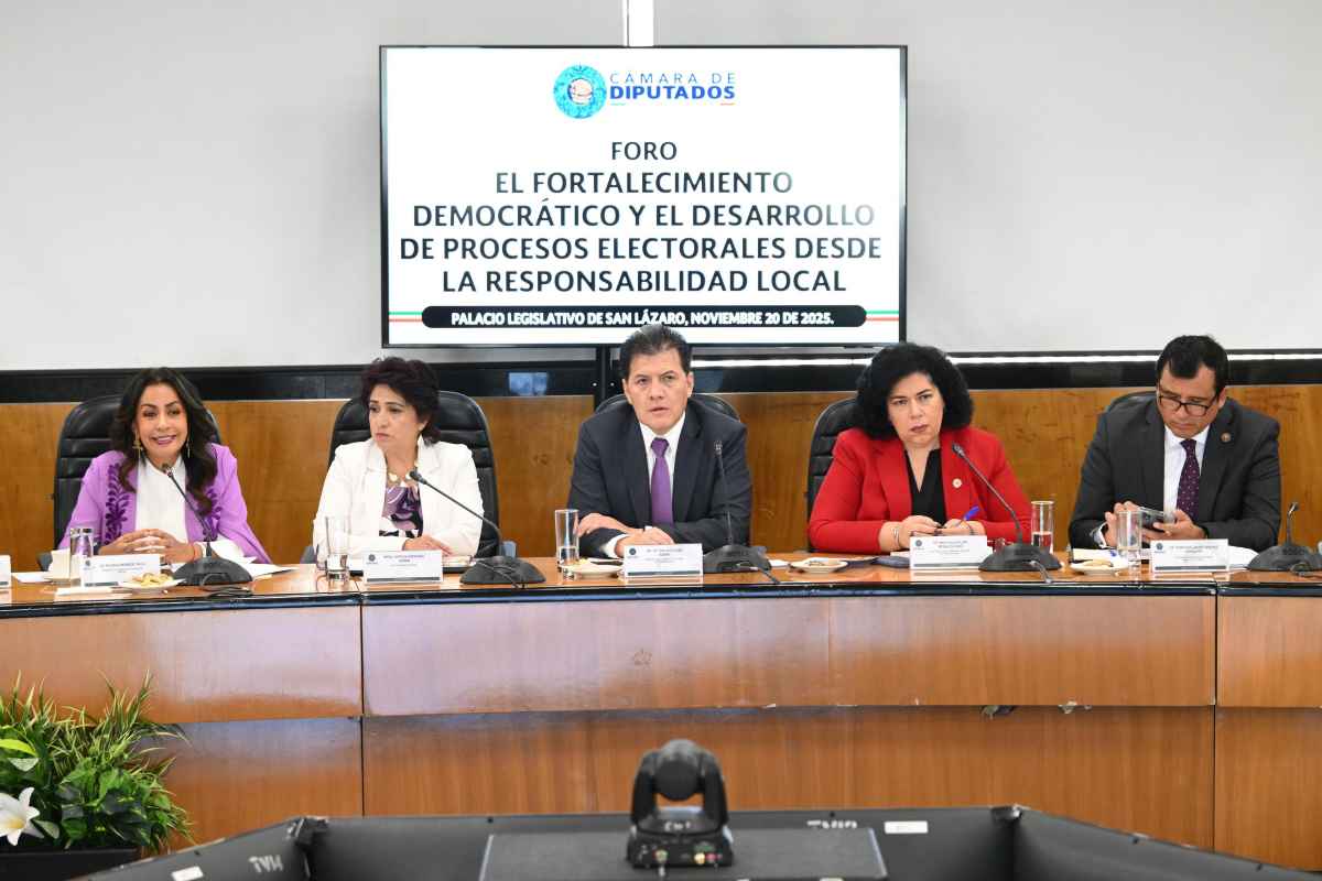 oples reforma ley electoral