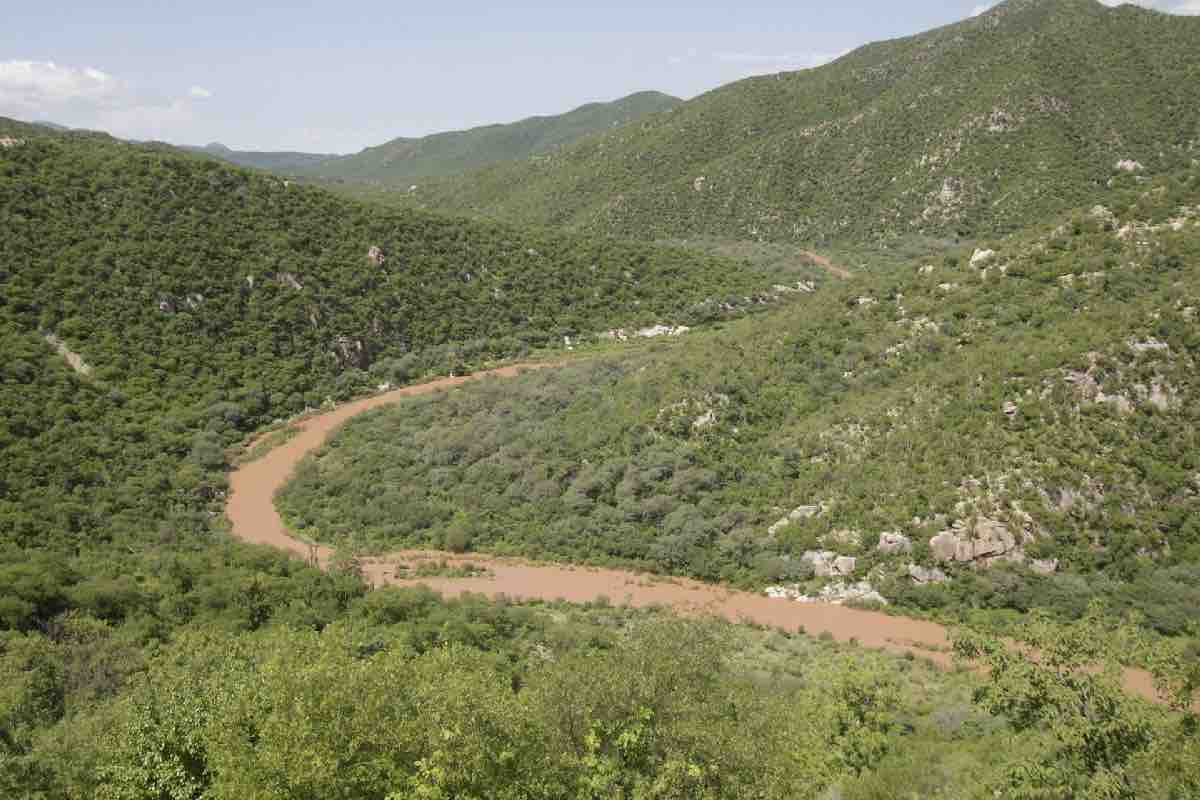 11 años de impunidad, muertes y cáncer por derrame de Grupo México en el Río Sonora Animal Político_3